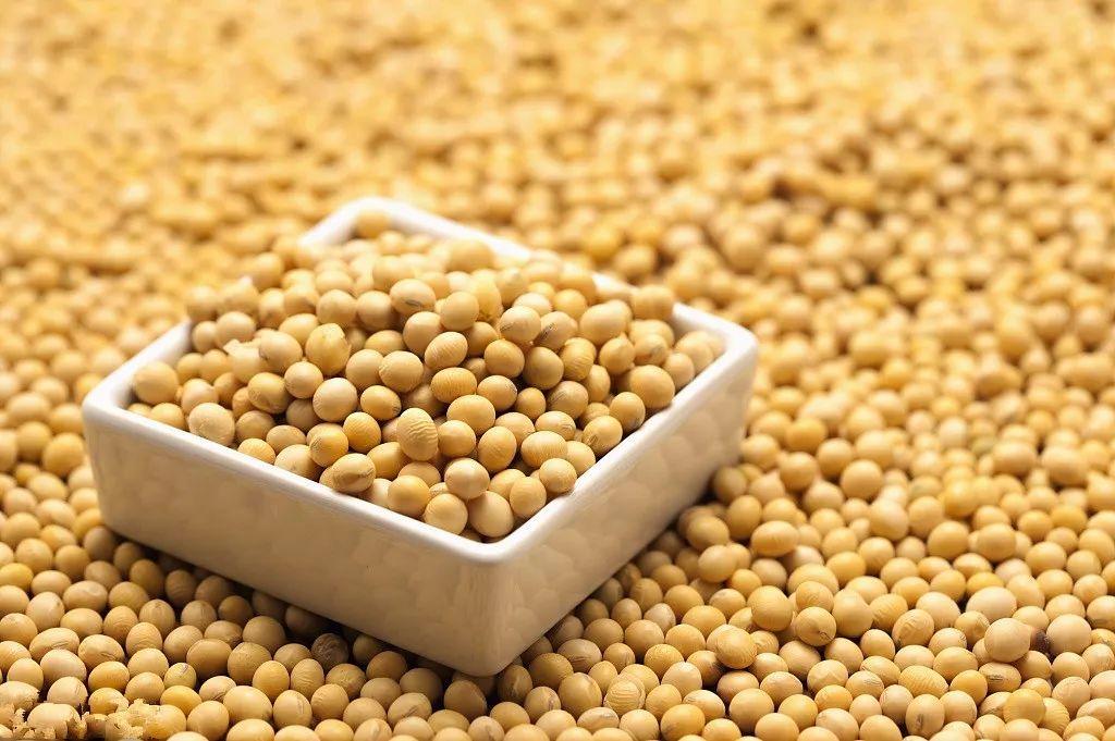 肝受损要不要补硒元素钙（补硒对肝病患者有好处吗）-硒宝网