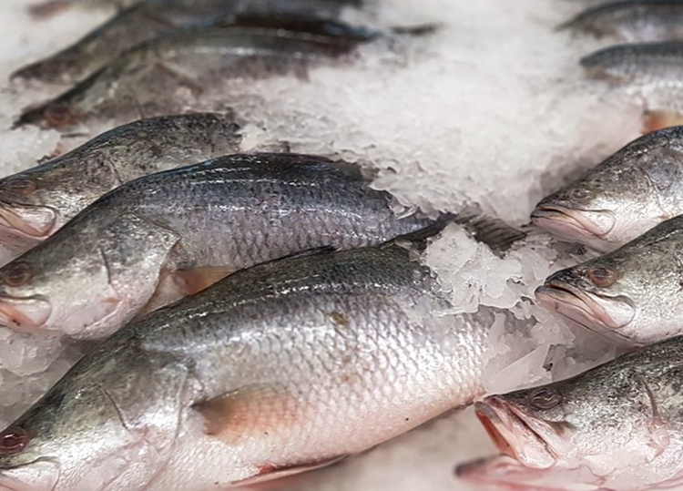 哪些人不宜补镁锌硒元素（oneone锌镁硒片）-硒宝网