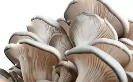 补硒的要多吃了300g(补硒吃多少)-硒宝网