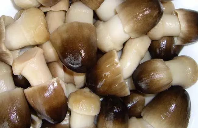 补硒的要多吃了300g(补硒吃多少)-硒宝网