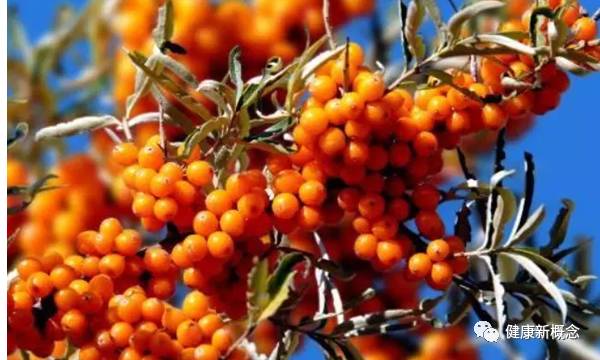 硒能补视网膜感光材料吗(感光能补材料硒视网膜厚吗)-硒宝网