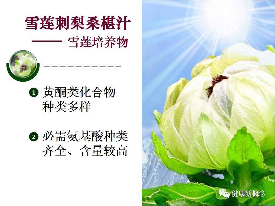 硒能补视网膜感光材料吗(感光能补材料硒视网膜厚吗)-硒宝网