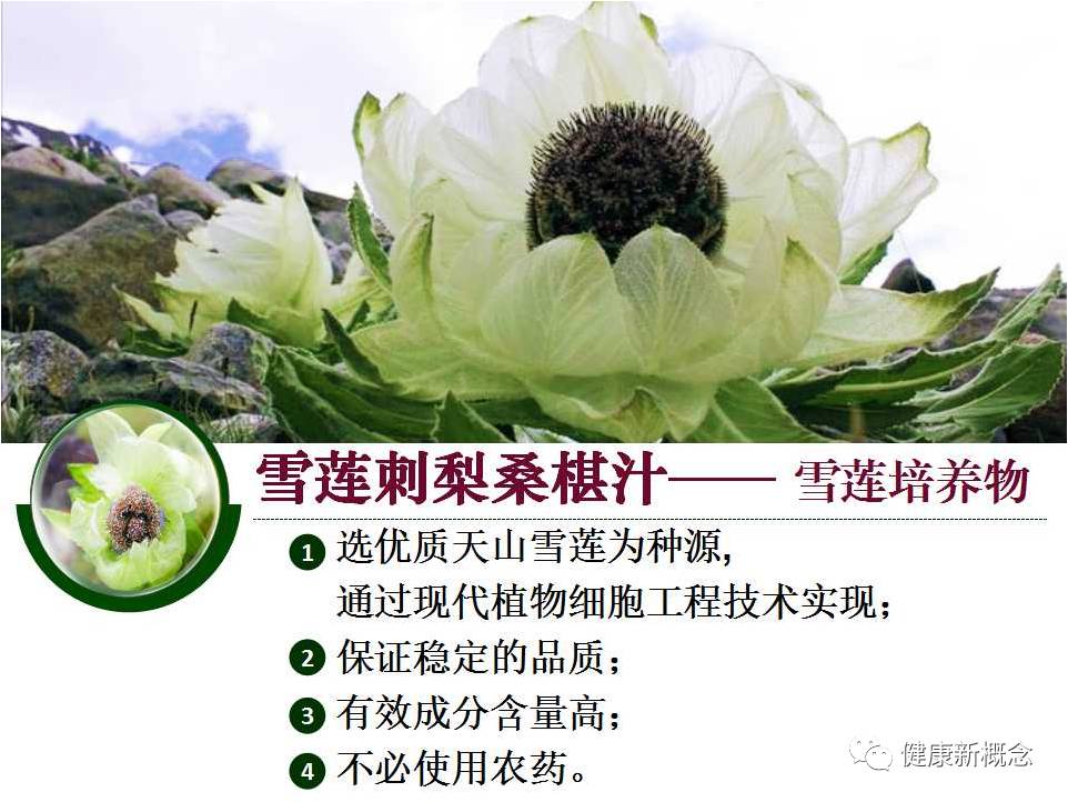 硒能补视网膜感光材料吗(感光能补材料硒视网膜厚吗)-硒宝网