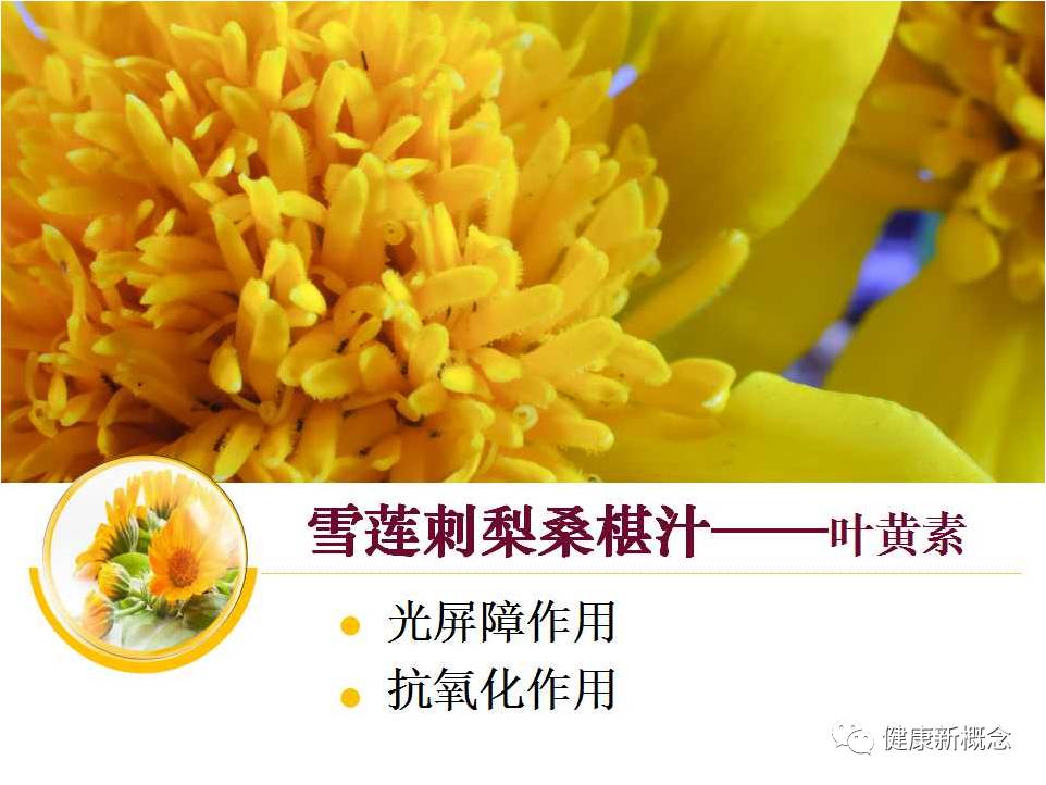 硒能补视网膜感光材料吗(感光能补材料硒视网膜厚吗)-硒宝网