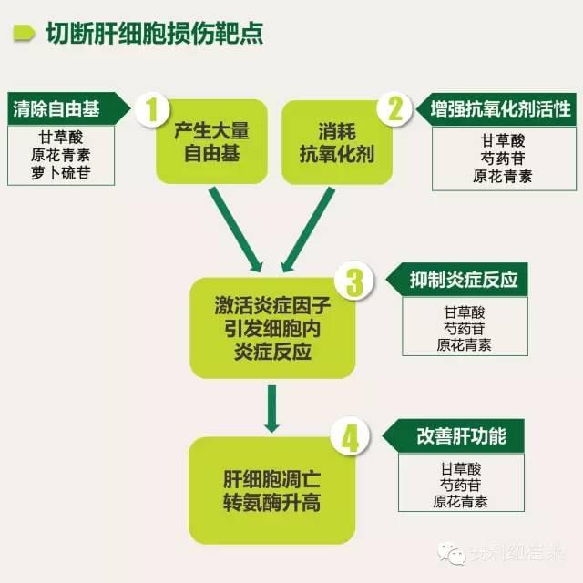 补微量元素硒可以养肝吗(补充微量元素硒的保健品)-硒宝网