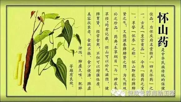 硒能补视网膜感光材料吗（视网膜的感光机能）-硒宝网