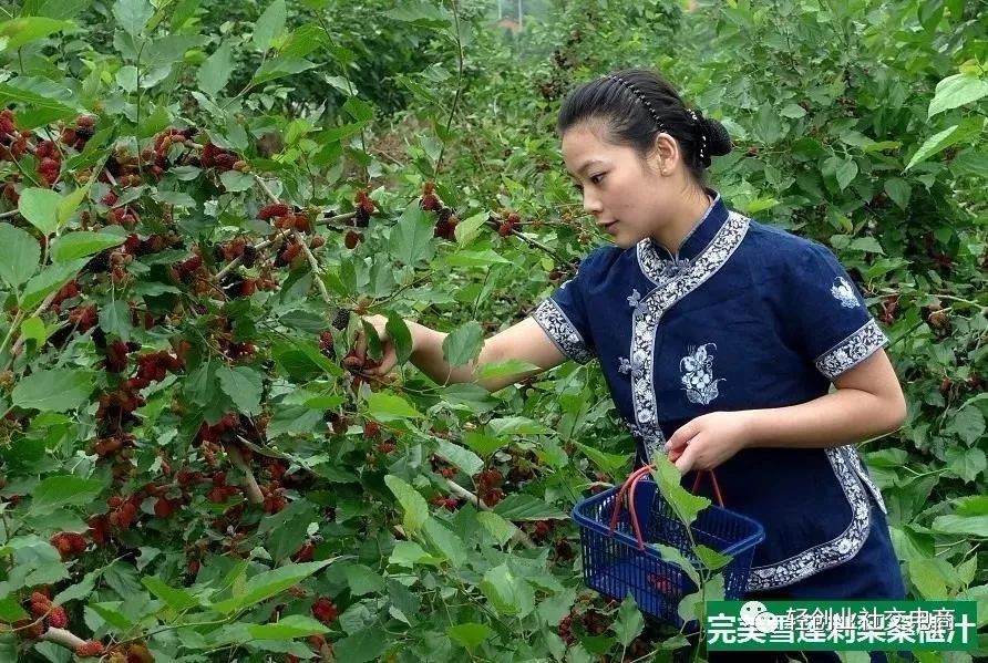 硒能补视网膜感光材料吗（感光能补材料硒视网膜嘛）-硒宝网