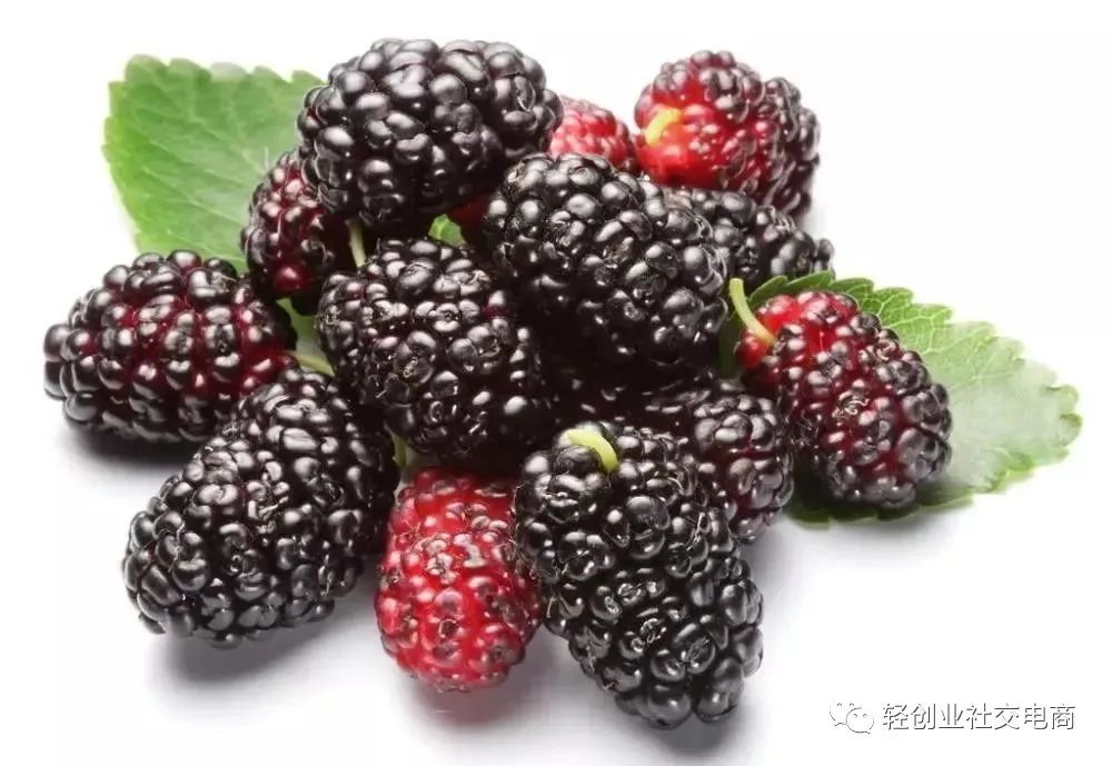 硒能补视网膜感光材料吗（感光能补材料硒视网膜嘛）-硒宝网