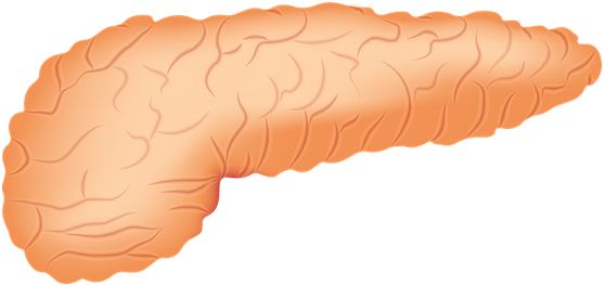 胆结石病人能吃补硒药吗(可以吃硒片补硒吗)-硒宝网