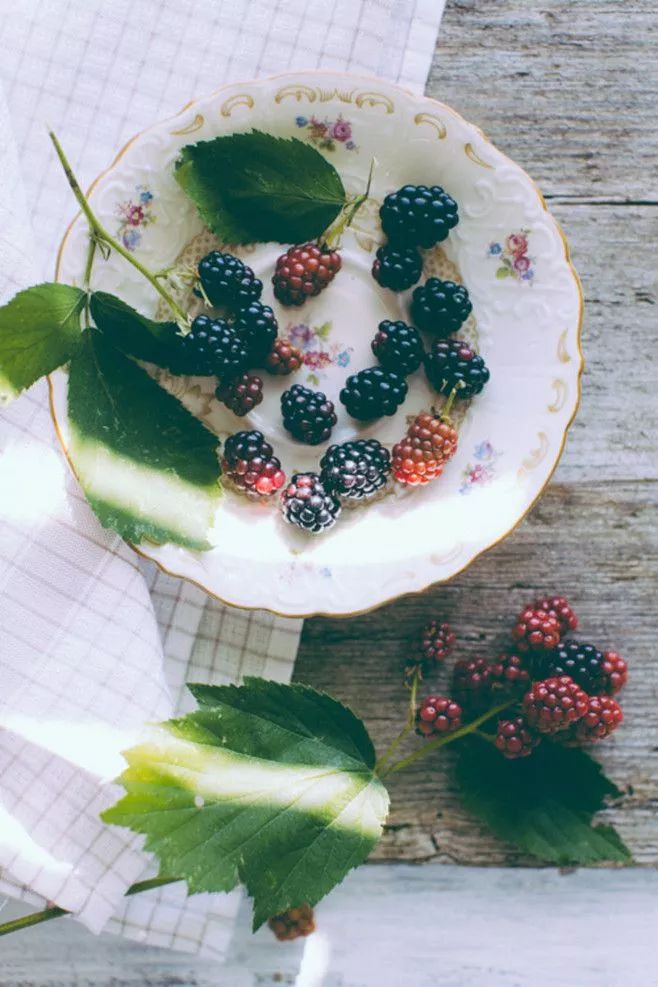 干桑葚泡水喝能不能补硒(桑葚干泡水喝可以防止脱发吗)-硒宝网