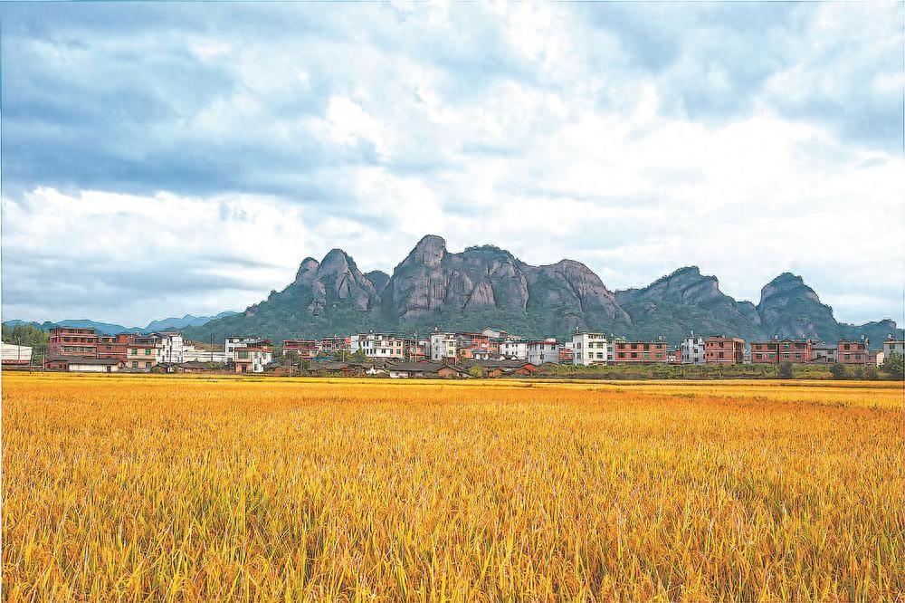 哪国的补硒产品好用一点(国家补硒日几月几号)-硒宝网