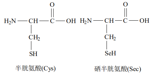 哪国的补硒产品好用一点（国家认可的补硒产品）-硒宝网