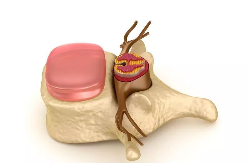 补硒月经紊乱吃什么药好(月经紊乱吃药多久能好)-硒宝网