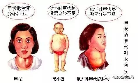 四十岁要补微量元素硒吗（微量元素硒怎样补助）-硒宝网