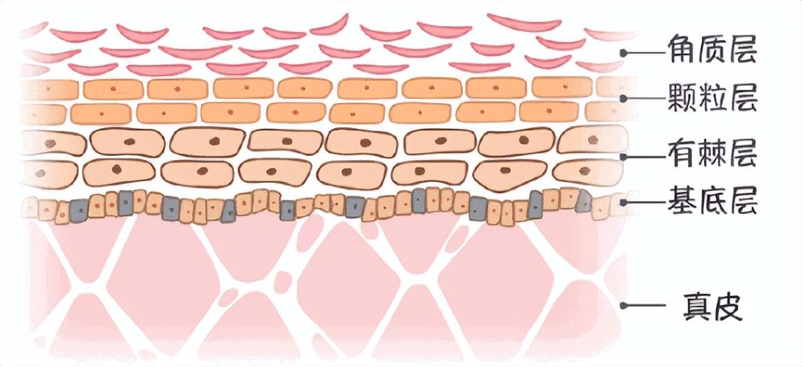 补硒后皮肤特别痒怎么办(补硒对皮肤病的治疗)-硒宝网