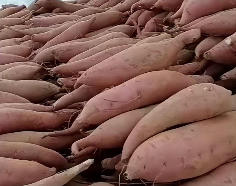 补硒后皮肤特别痒怎么办(补硒对皮肤病的治疗)-硒宝网