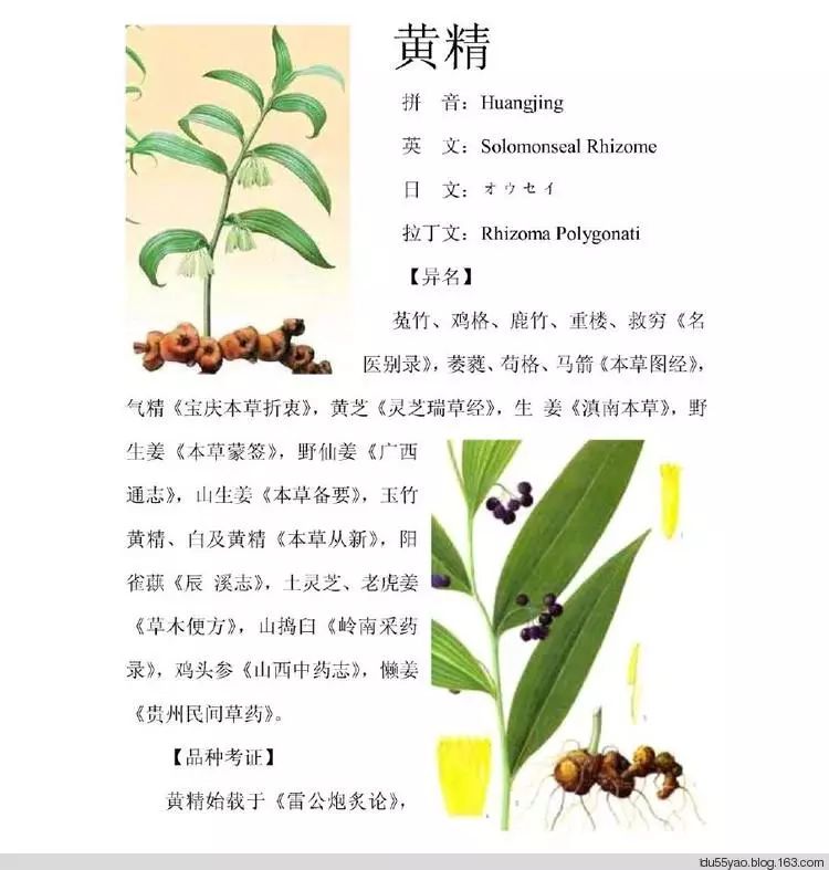 适量补硒对肝肾有损伤吗（补硒对肝病患者有好处吗）-硒宝网