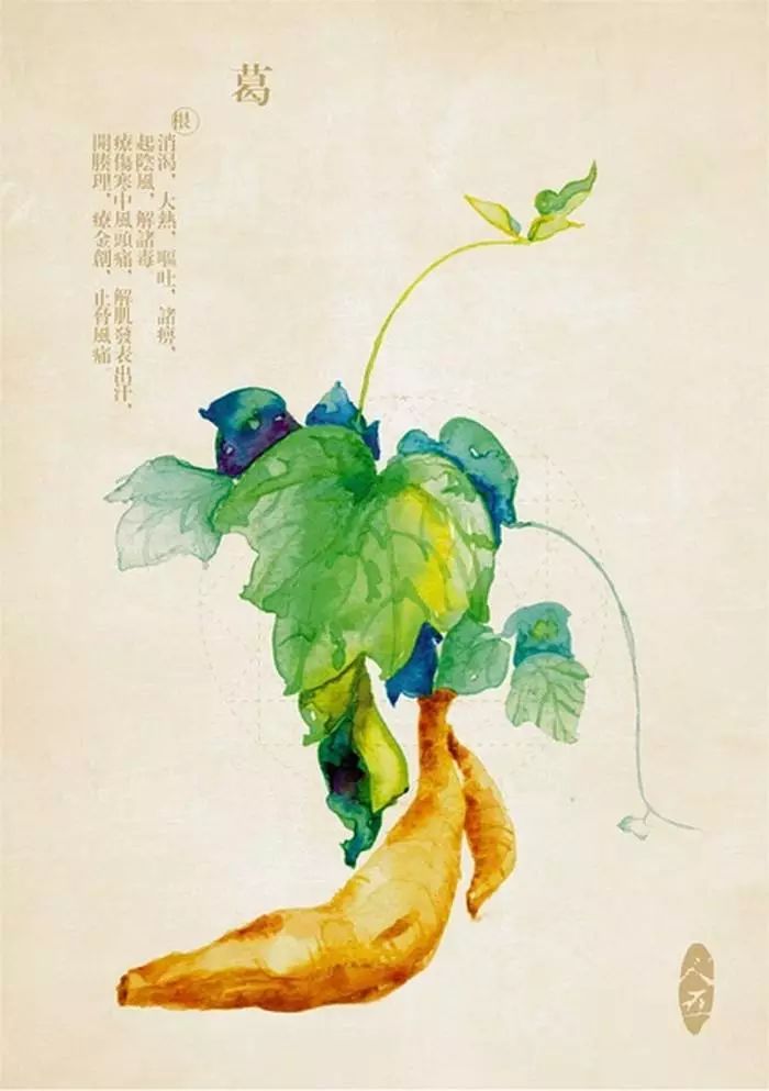 适量补硒对肝肾有损伤吗（补硒对肝病患者有好处吗）-硒宝网