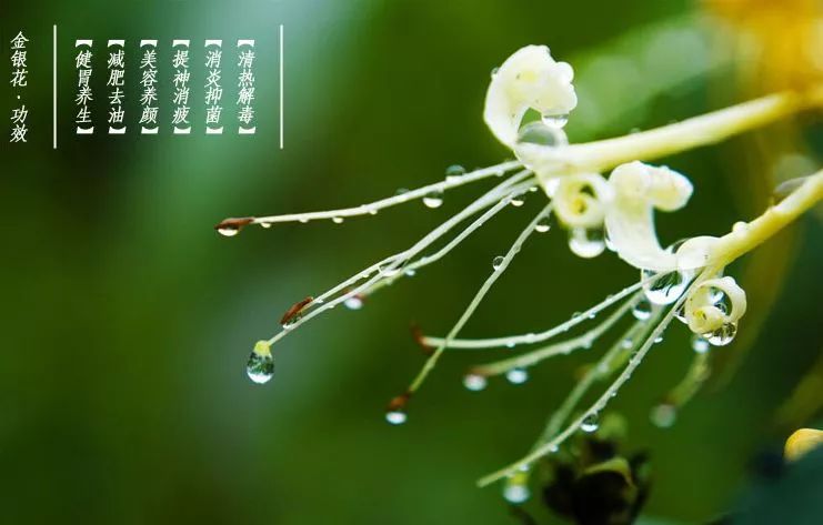 适量补硒对肝肾有损伤吗（补硒对肝病患者有好处吗）-硒宝网