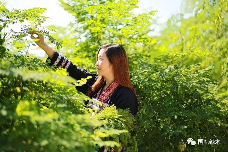 适量补硒对肝肾有损伤吗（补硒肝脏）-硒宝网