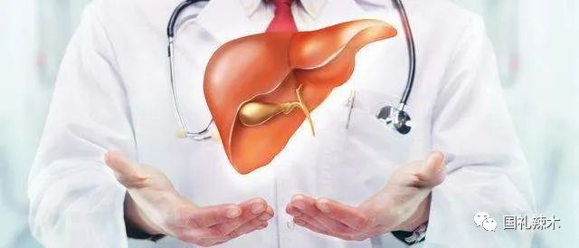 适量补硒对肝肾有损伤吗（补硒肝脏）-硒宝网