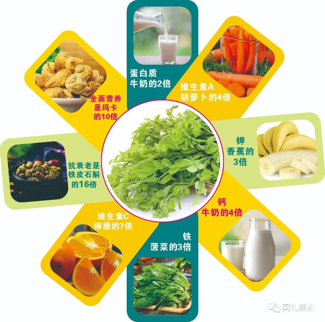 适量补硒对肝肾有损伤吗（补硒肝脏）-硒宝网