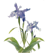 吃补硒的可以吃感冒药吗(吃感冒药补硒可以吗)-硒宝网