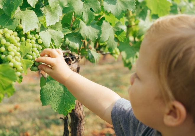 汤臣倍健补硒哪款好用些（汤臣倍健的补硒产品有什么用）-硒宝网