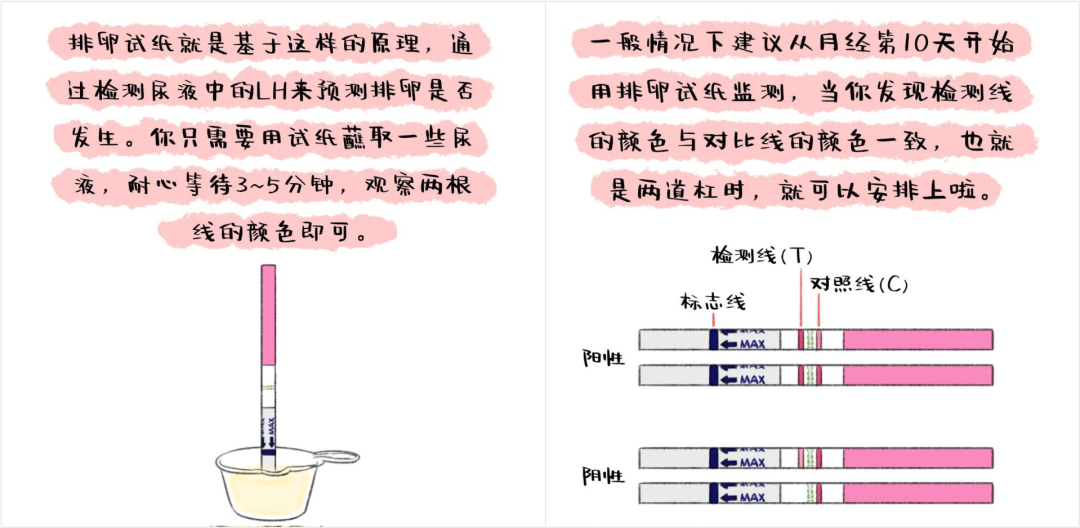 补硒的药推荐一下吃多久（补硒的药）-硒宝网