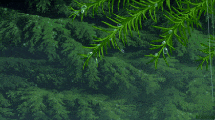 掉头发要补硒吗有效果吗(补硒掉头发还会生长出来吗)-硒宝网