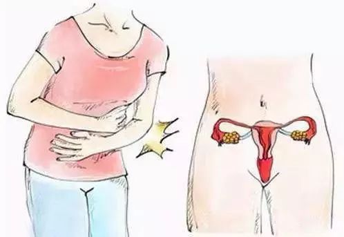 女人多少岁需要补硒呢呢(女的补硒)-硒宝网