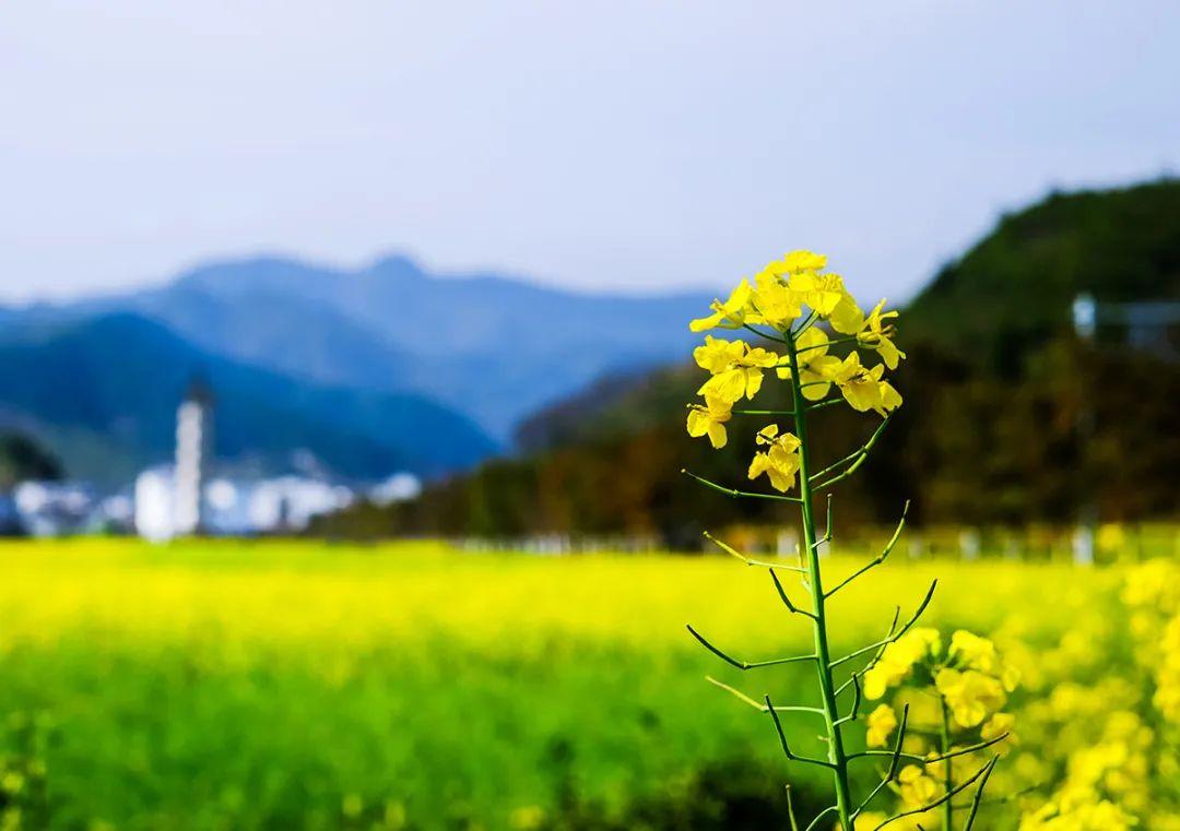 老年人补的硒怎么吃的好(老年人吃硒的好处)-硒宝网
