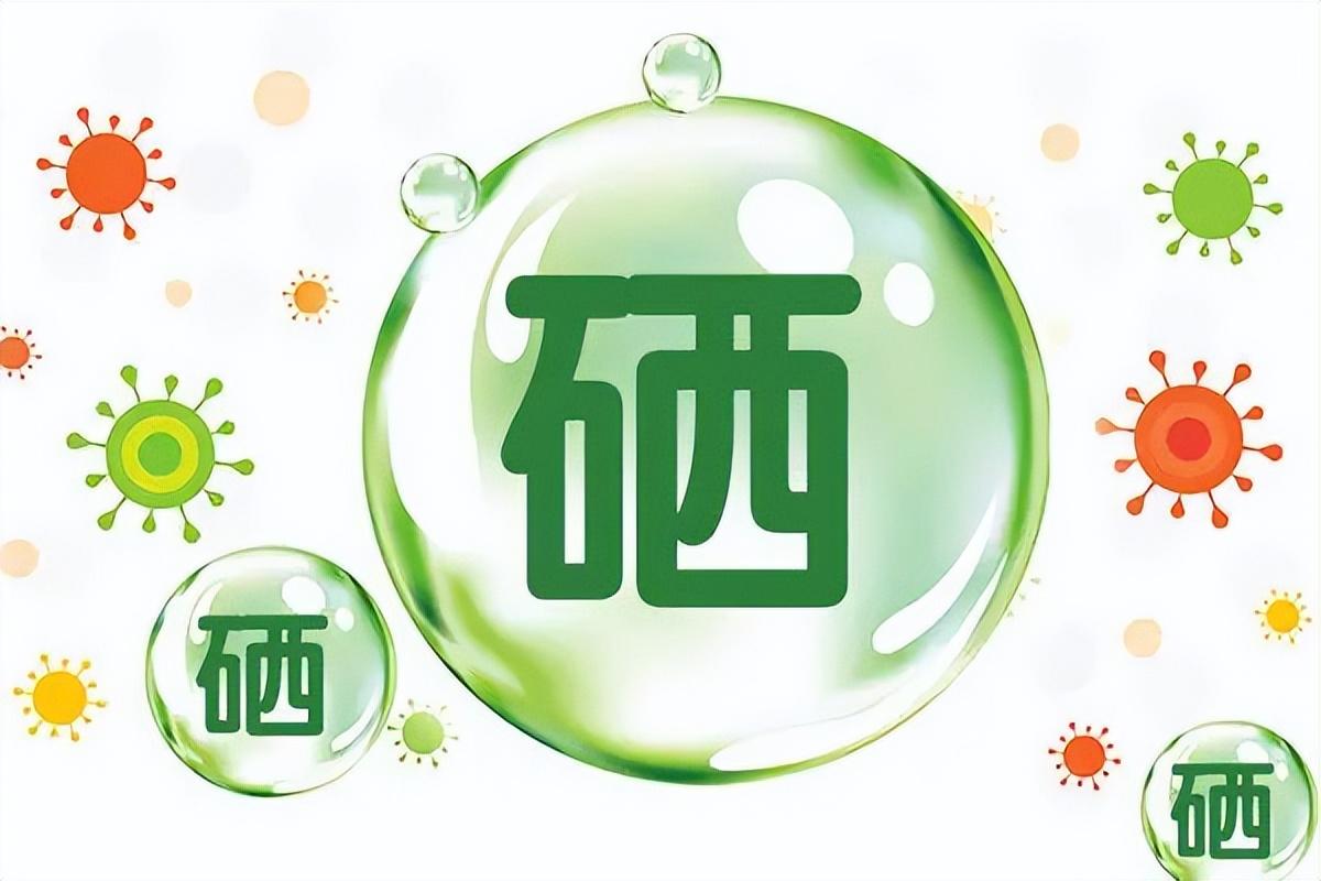 老年人补的硒怎么吃的好(老年人吃硒的好处)-硒宝网