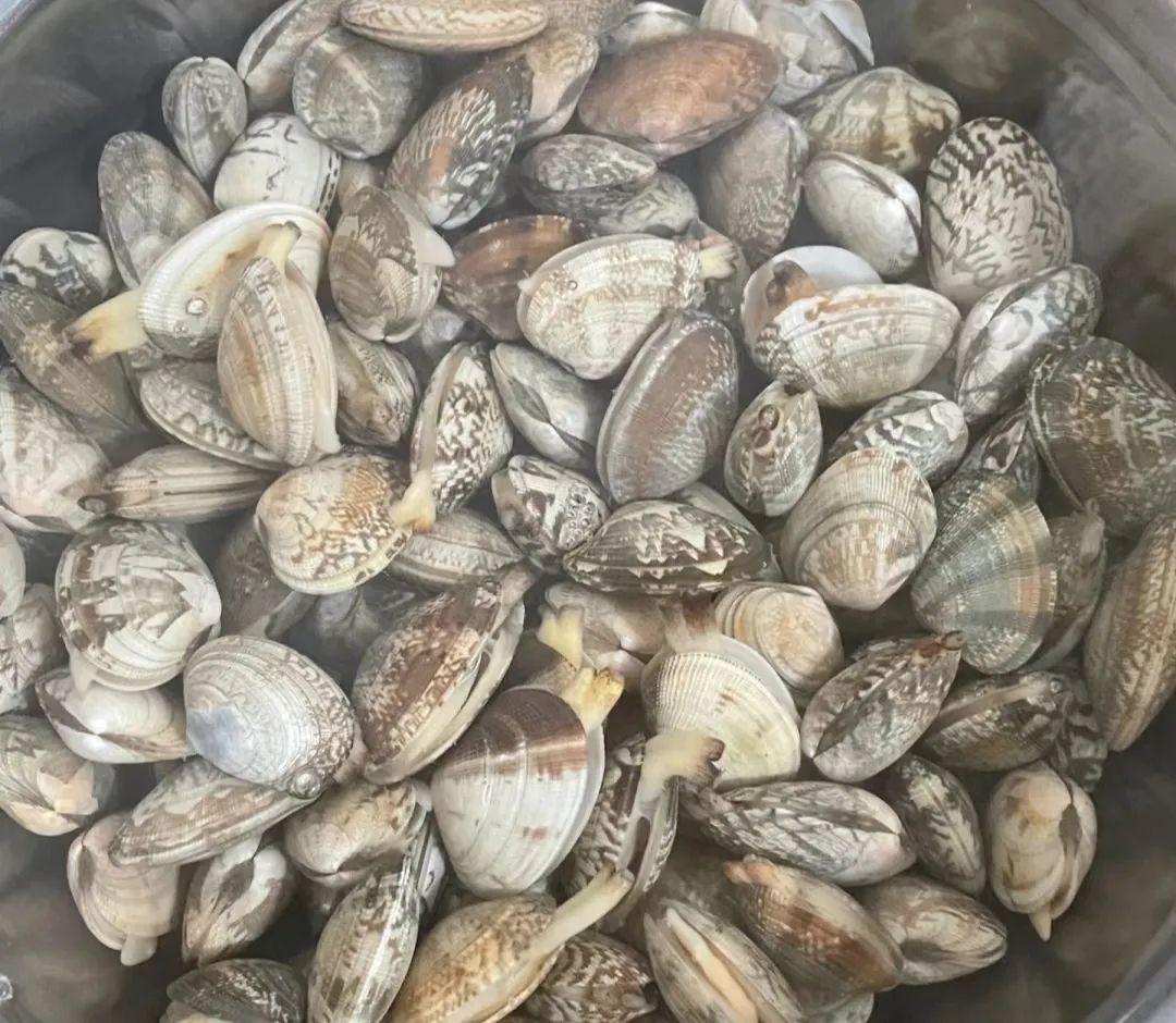 老年人补的硒怎么吃的好(老年人吃硒的好处)-硒宝网