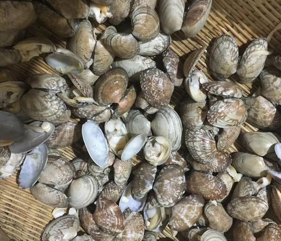 老年人补的硒怎么吃的好(老年人吃硒的好处)-硒宝网