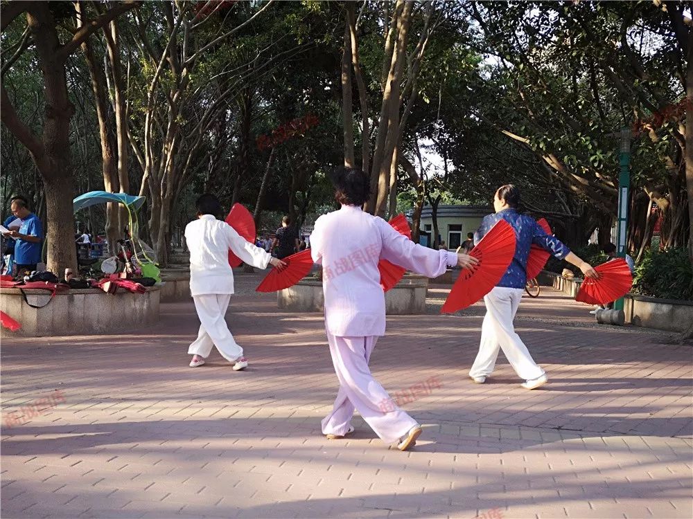 每天补硒25毫克可以吗(每天补硒可以预防癌症吗)-硒宝网