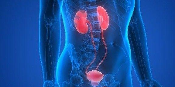 硒和锌可以一起补吗女性(锌硒能随便补吗)-硒宝网