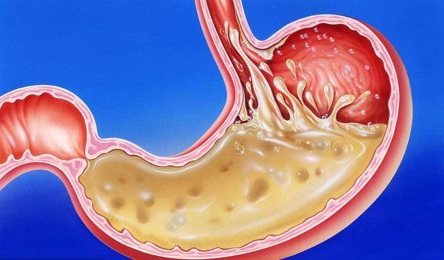 三种补硒的食物是什么呢(食补补硒)-硒宝网