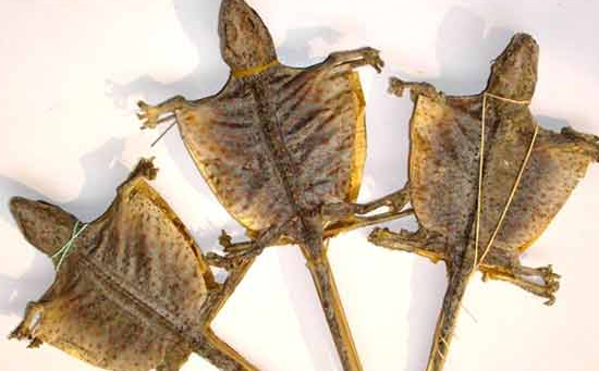 排卵期出血补点硒可以吗(排卵期出血可以吃ve吗)-硒宝网