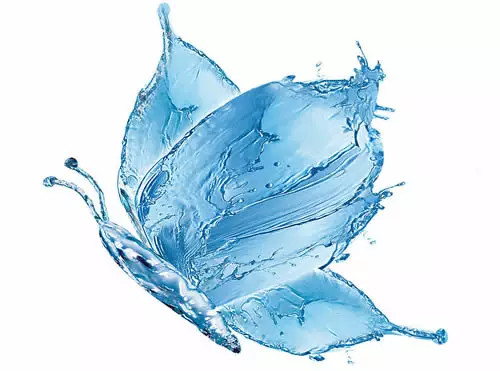 脾胃肠道消化不良可补硒（消化肠道不良脾胃补硒可以吗）-硒宝网