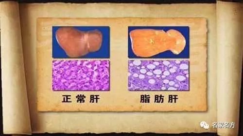 中国中医科学院全民补硒（中国全民补硒工程指导委员会）-硒宝网