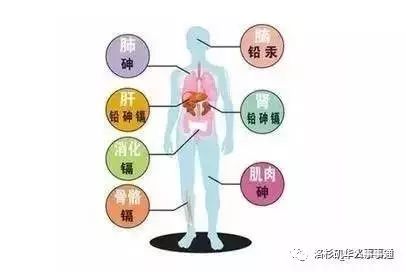 中国中医科学院全民补硒（中国全民补硒工程指导委员会）-硒宝网