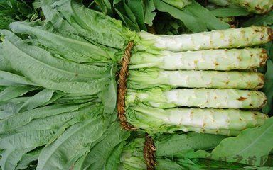 补什么样的硒效果比较好(补硒产品哪个比较好)-硒宝网