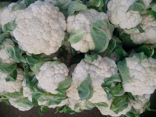 补什么样的硒效果比较好(补硒产品哪个比较好)-硒宝网