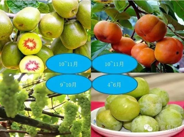 补硒后糖化血红蛋白水平（补硒一般要连续补多久）-硒宝网