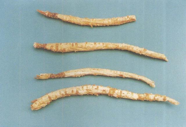 生硒参片是温补性中药吗（具有温补功效的人参饮片）-硒宝网