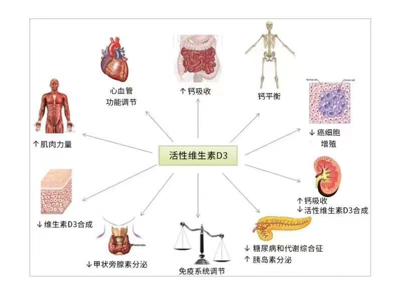 硒补剂分为哪几种类型的（补硒剂是什么）-硒宝网