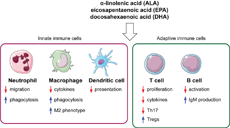 硒补剂分为哪几种类型的（补硒剂是什么）-硒宝网