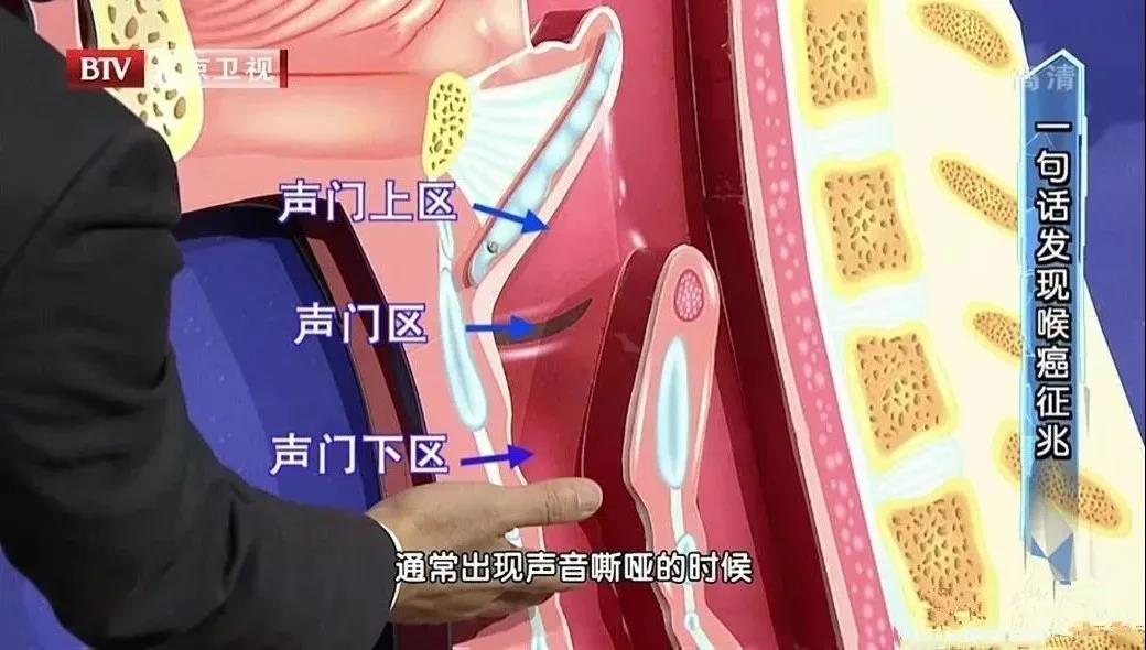 女性补什么硒比较好一点（女性补硒有什么作用）-硒宝网