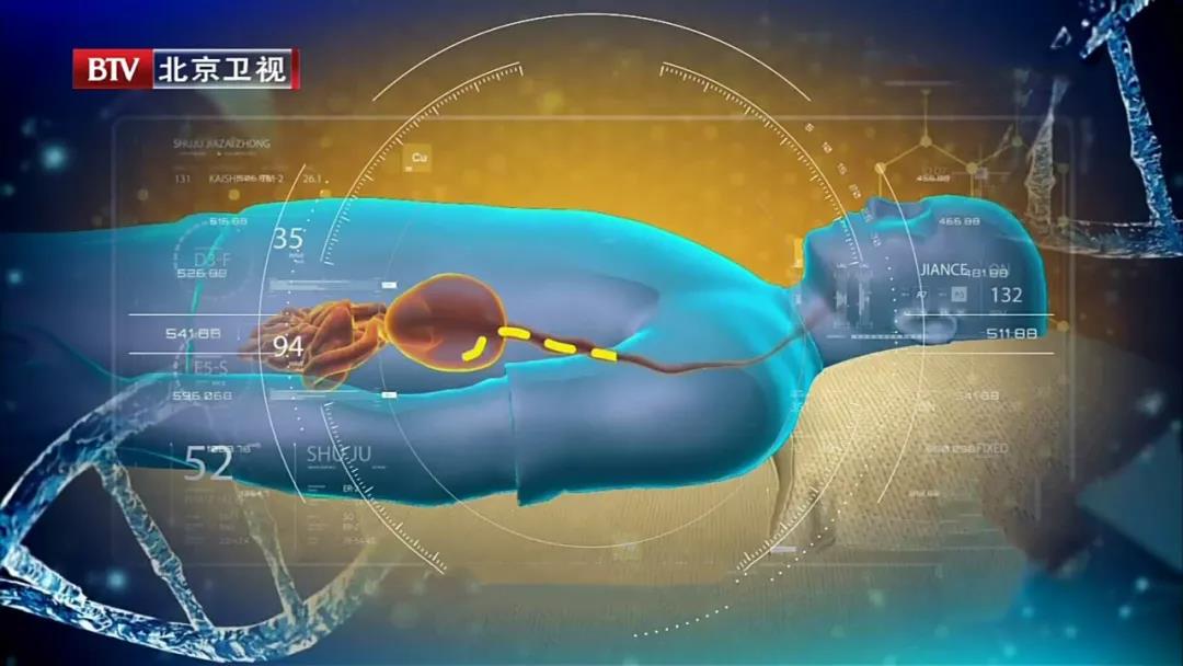 女性补什么硒比较好一点（女性补硒有什么作用）-硒宝网